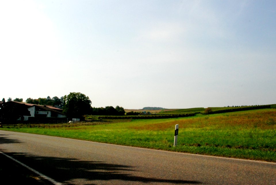 Stein-Bockenheim 53