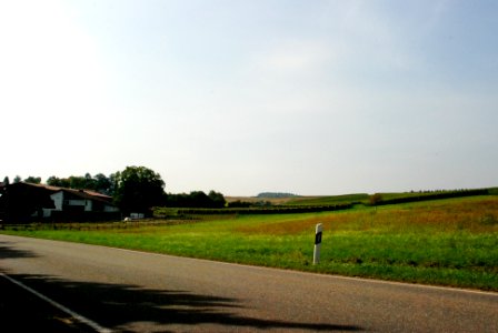 Stein-Bockenheim 53