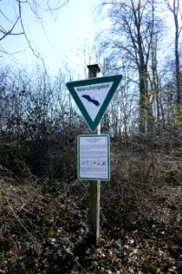 Steinhausen - Pagenholz - 6