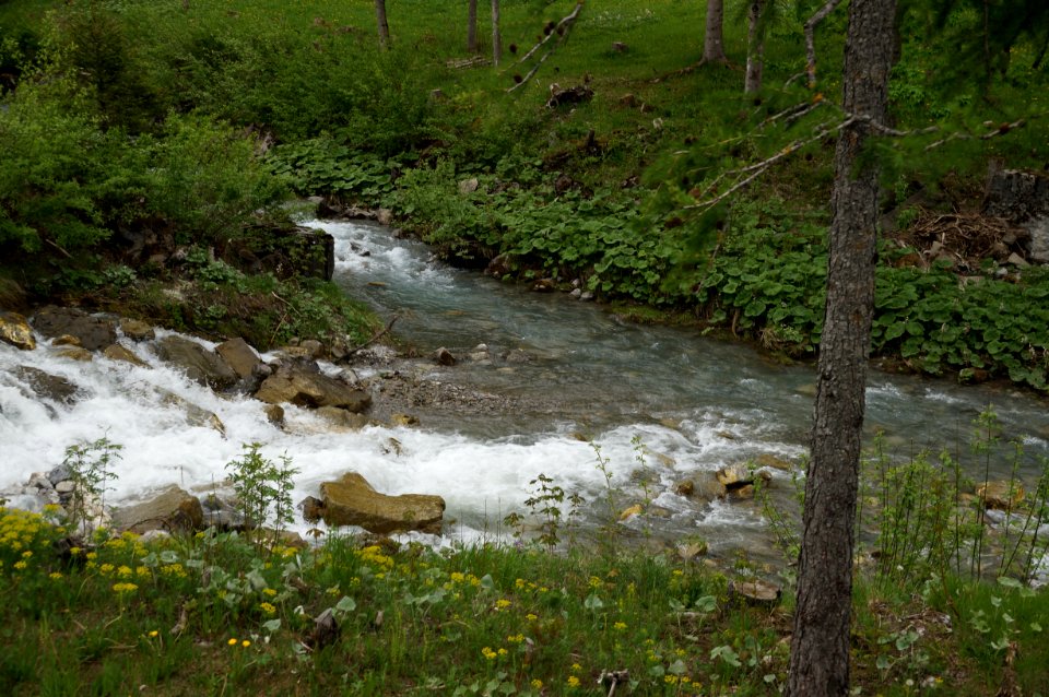 Steg Zusammenfluss – WAF 300 J FL