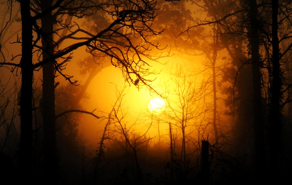 Nature sky sun