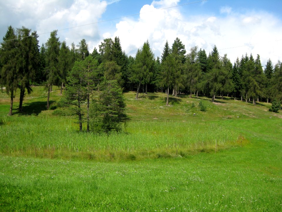 Steiflerweiher in Glaning