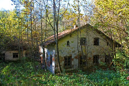 Forest witch's house haunting