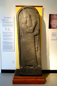 Stele of Sargon II, copy of original in the Vorderasiatisches Museum, Berlin, Larnaca, c. 707 BC, plaster cast - Harvard Semitic Museum - Cambridge, MA - DSC06350