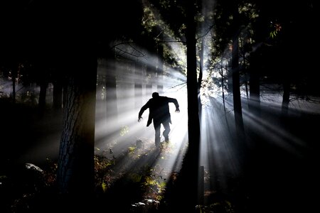 Frankenstein forest psychopath photo