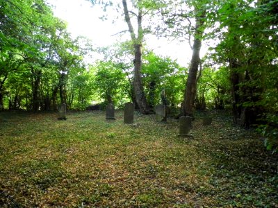 Steinfischbach, jüdischer Friedhof
