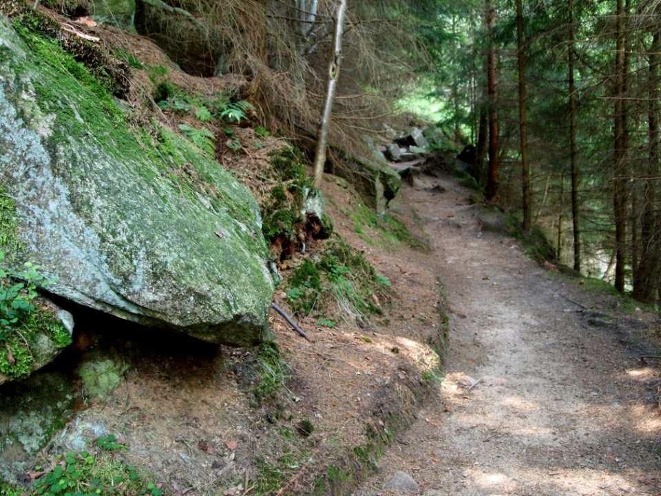 Steinerne Renne (12)