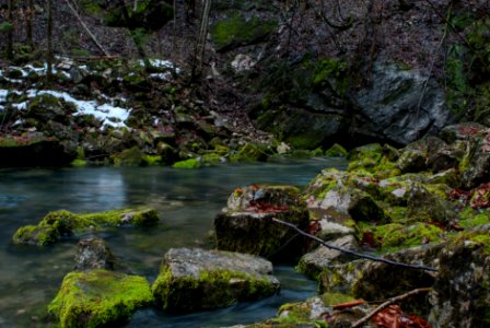 Steinbachquelle bei Hollenstein an der Ybbs
