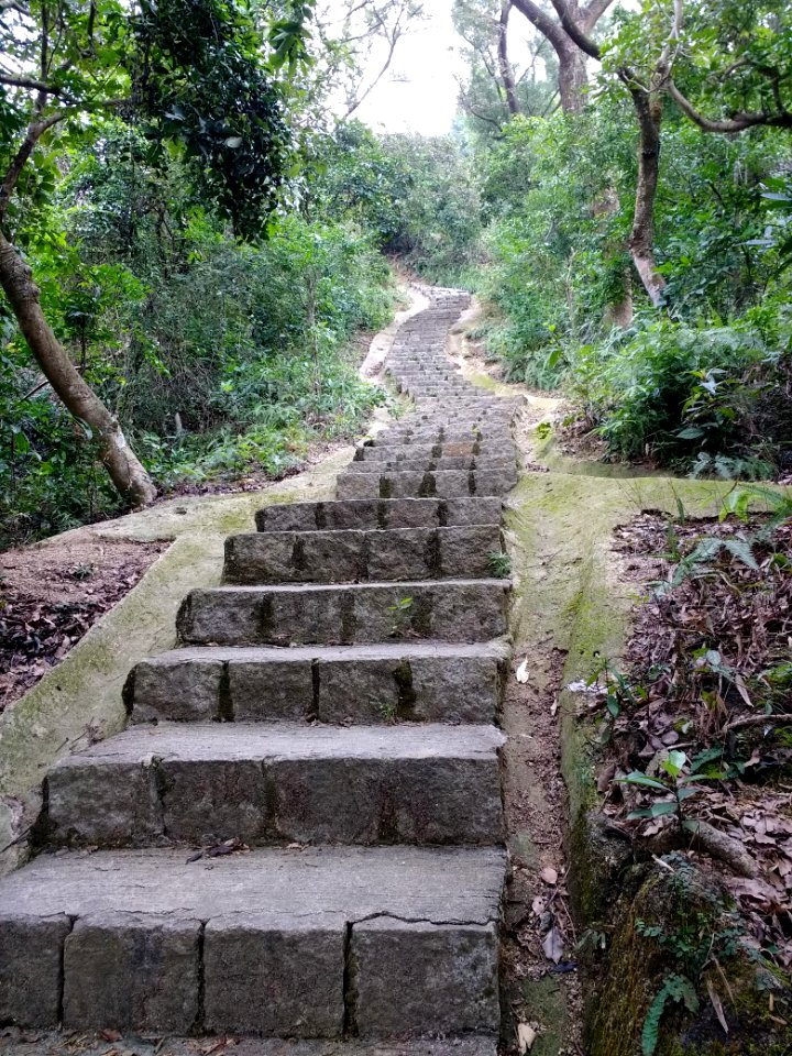 Steps on a trail in Coloane