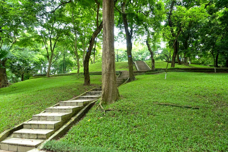 Steps - Hanoi Botanical Garden - Hanoi, Vietnam - DSC03633