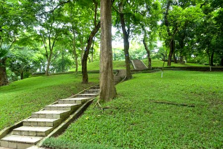 Steps - Hanoi Botanical Garden - Hanoi, Vietnam - DSC03633