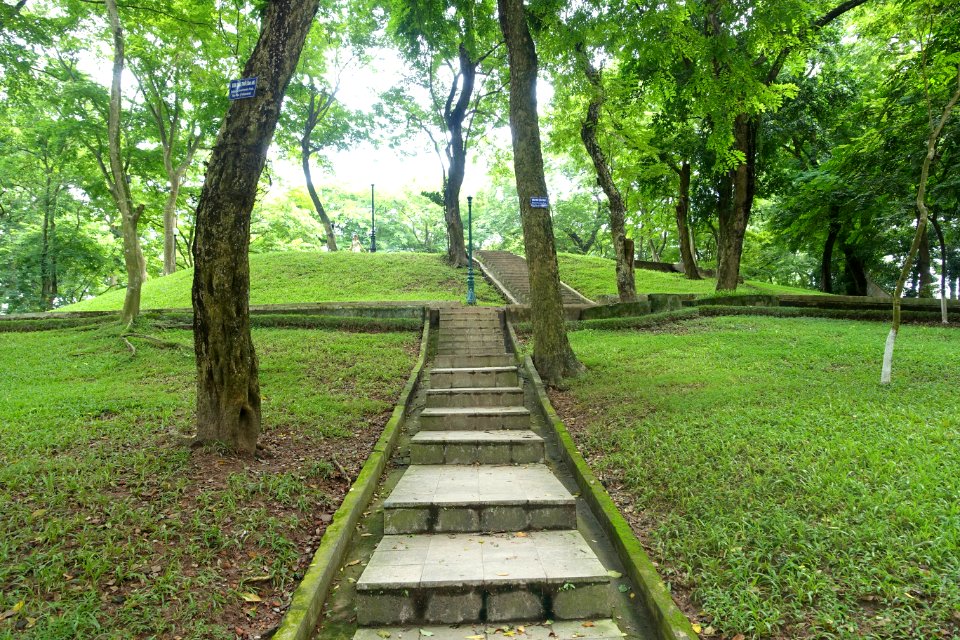 Steps - Hanoi Botanical Garden - Hanoi, Vietnam - DSC03635