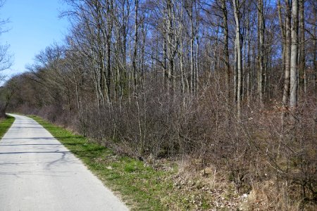 Steinhausen - Pagenholz - 5