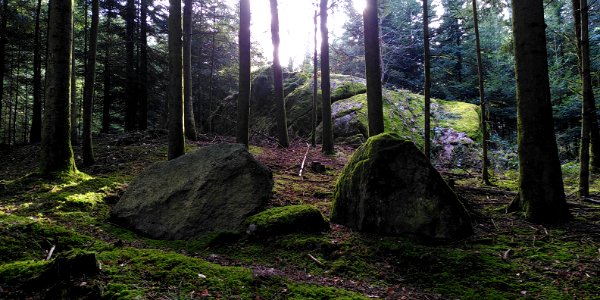 Steinenberg Gemeinde Seeberg Schweiz 03