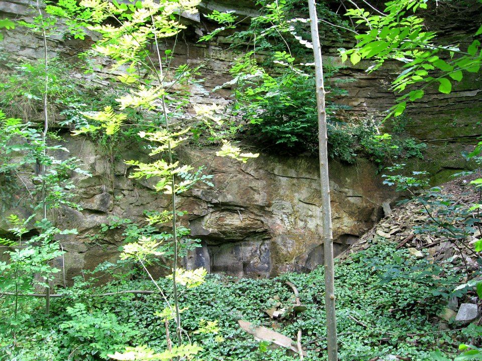 Steinbruch im Lettenkeuper-Hauptsandstein beim Obersontheimer Schloss
