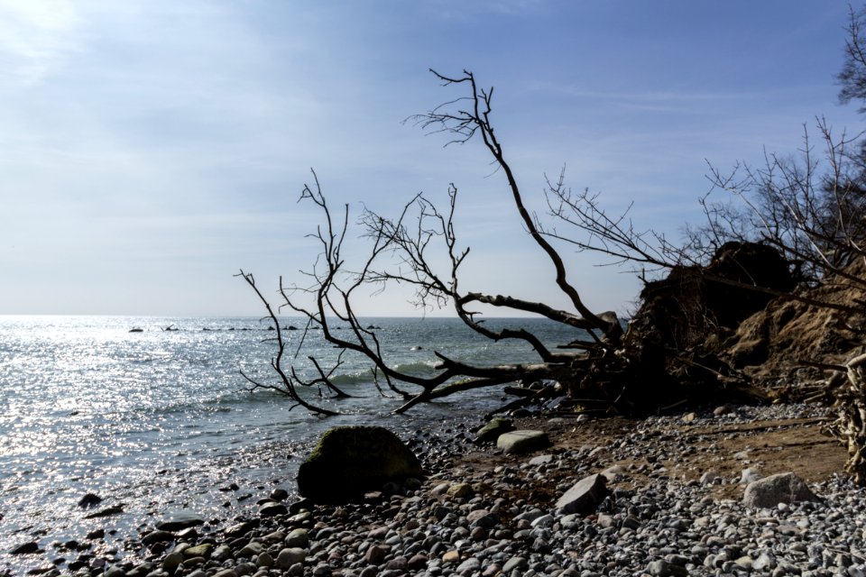 Steilküste Sassnitz (Rügen) 4