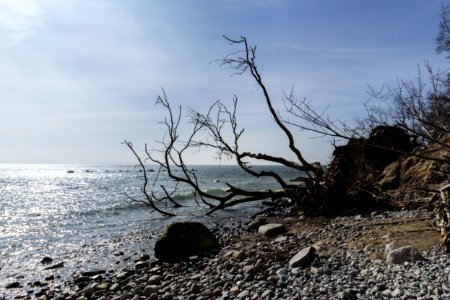 Steilküste Sassnitz (Rügen) 4
