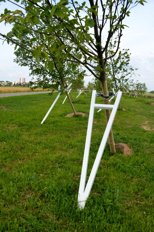 Steinbach, Schiefer Wald (5)
