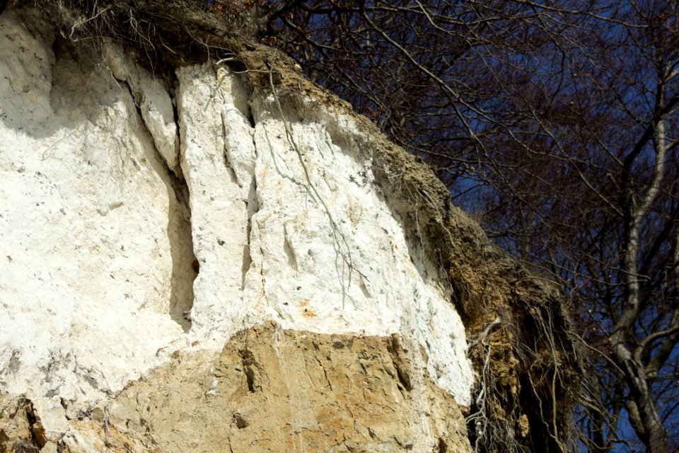 Steilküste Sassnitz (Rügen) 16