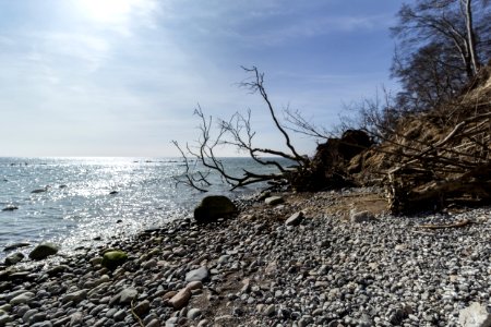 Steilküste Sassnitz (Rügen) 3