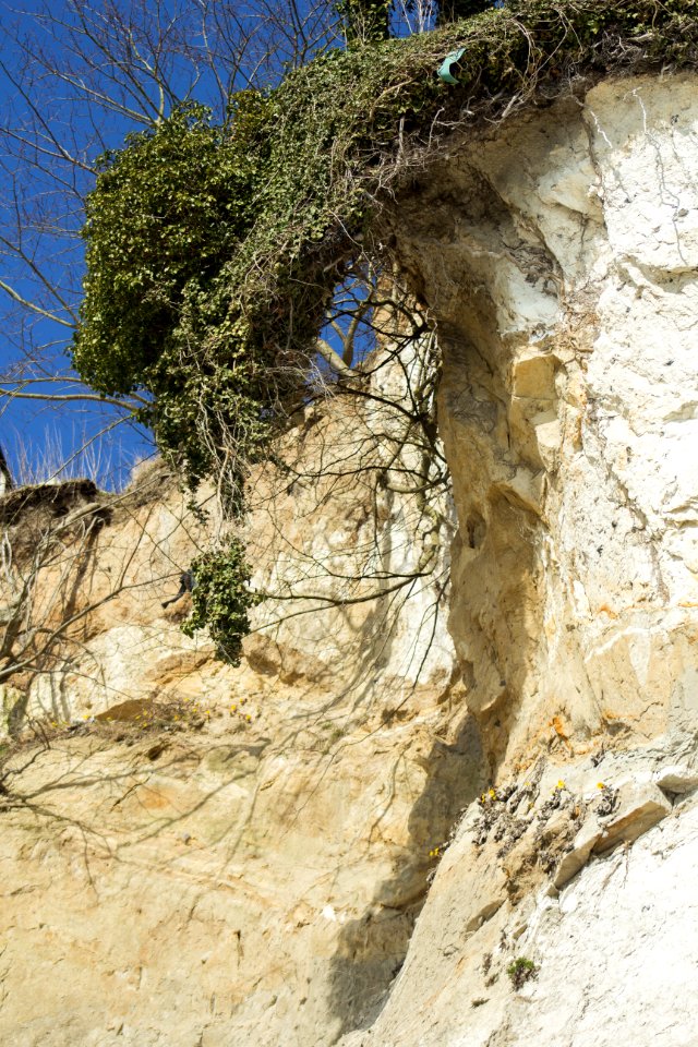 Steilküste Sassnitz (Rügen) 15