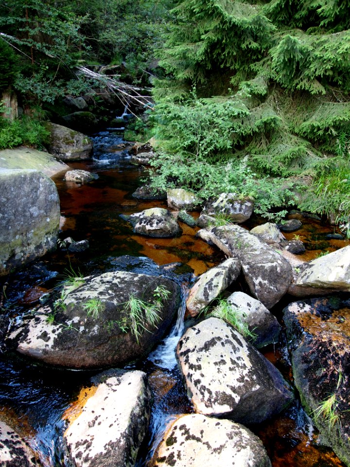 Steinerne Renne (15)