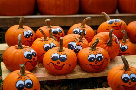 Pumpkin funny imp