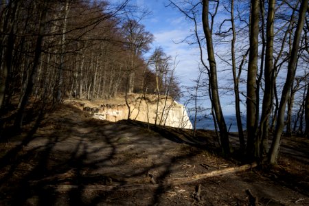Steilküste Rügen - Nationalpark Jasmund 3