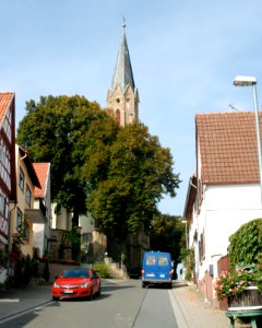 Stein-Bockenheim 45