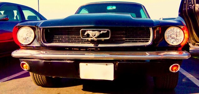 Ford ford mustang automotive
