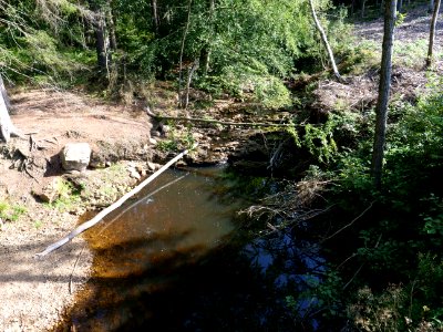 Steinbach at Hautes Fagnes 03