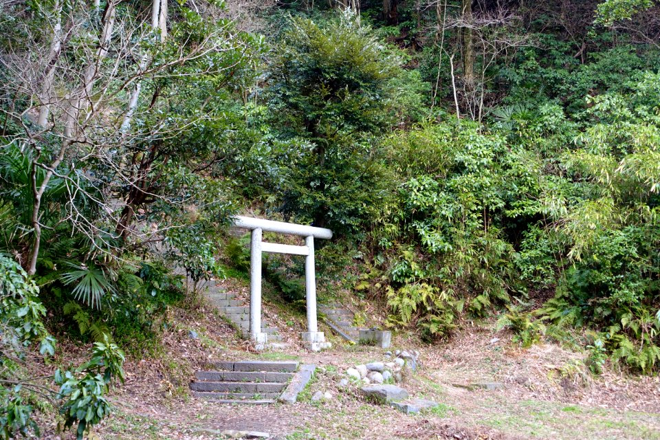 Steps with torii - Tombs of Oe no Hiromoto, Shimazu Tadahisa and Mori Suemitsu - Kamakura, Kanagawa, Japan - DSC08408