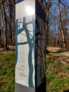Stele für belgische Widerstandskämpfer Dölauer Heide 3