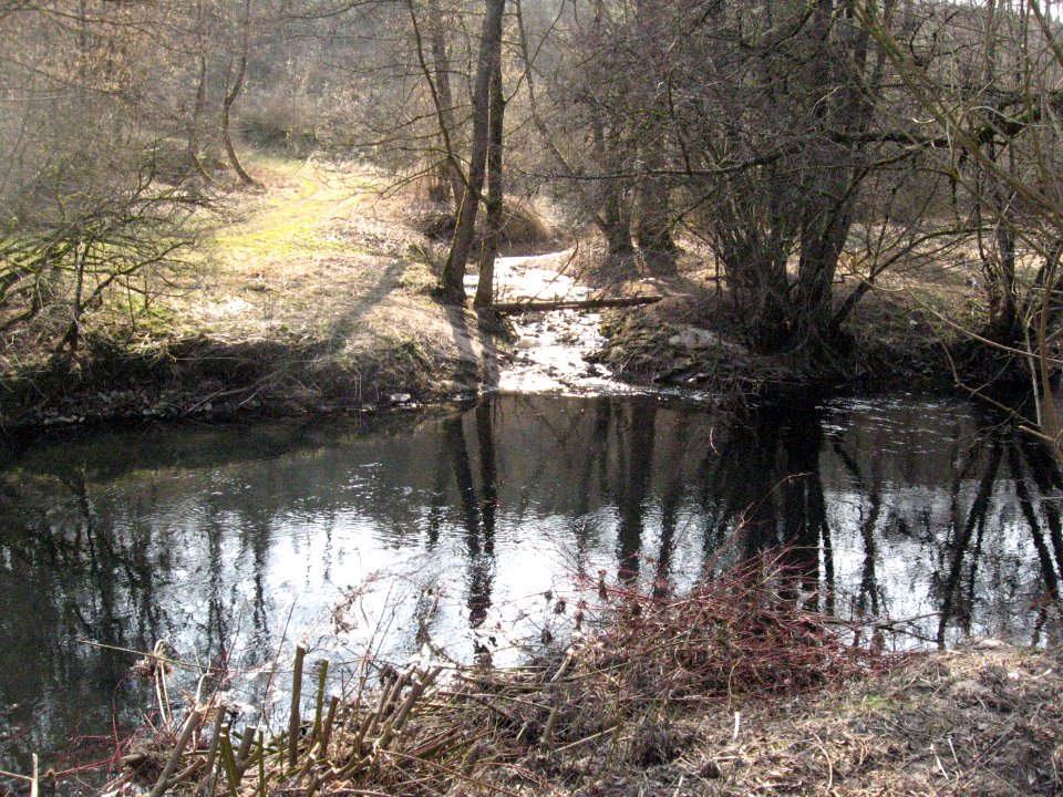 Steinbachmündung bei Eschenau, Blick nach SW