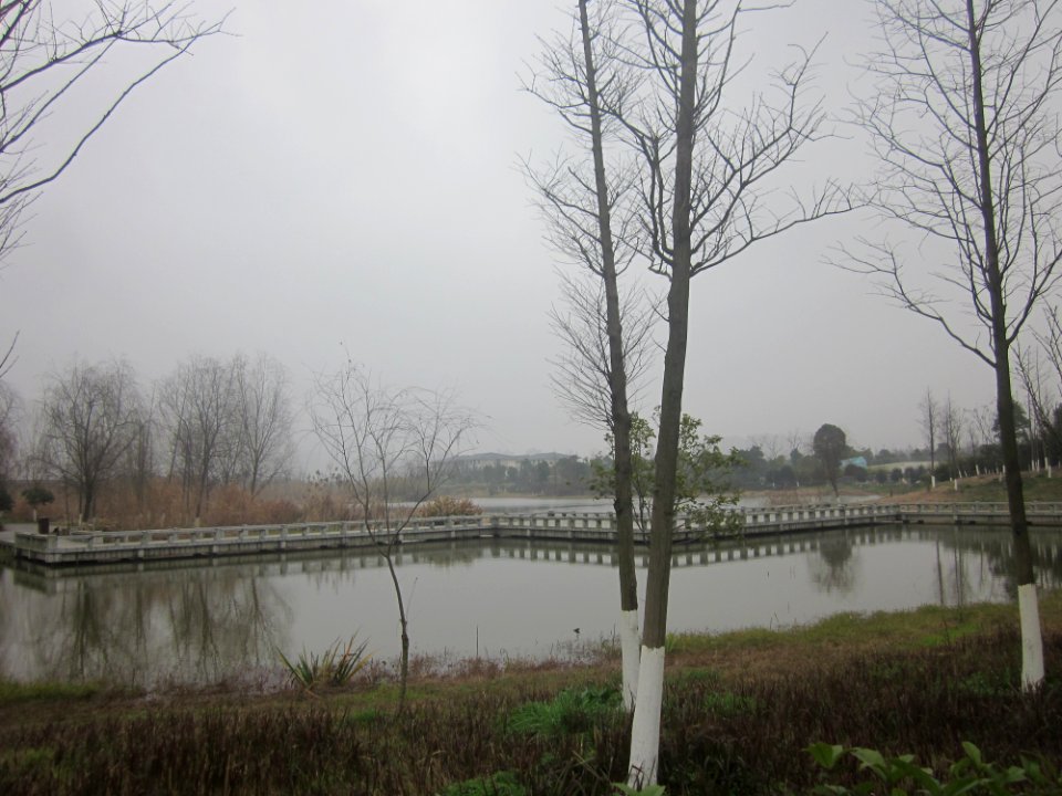 Stepping stones, Yanghu Wetland Park