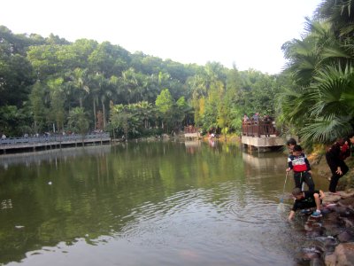 Stepping stones on Water Surface of Mount Yangtai Forest Park4
