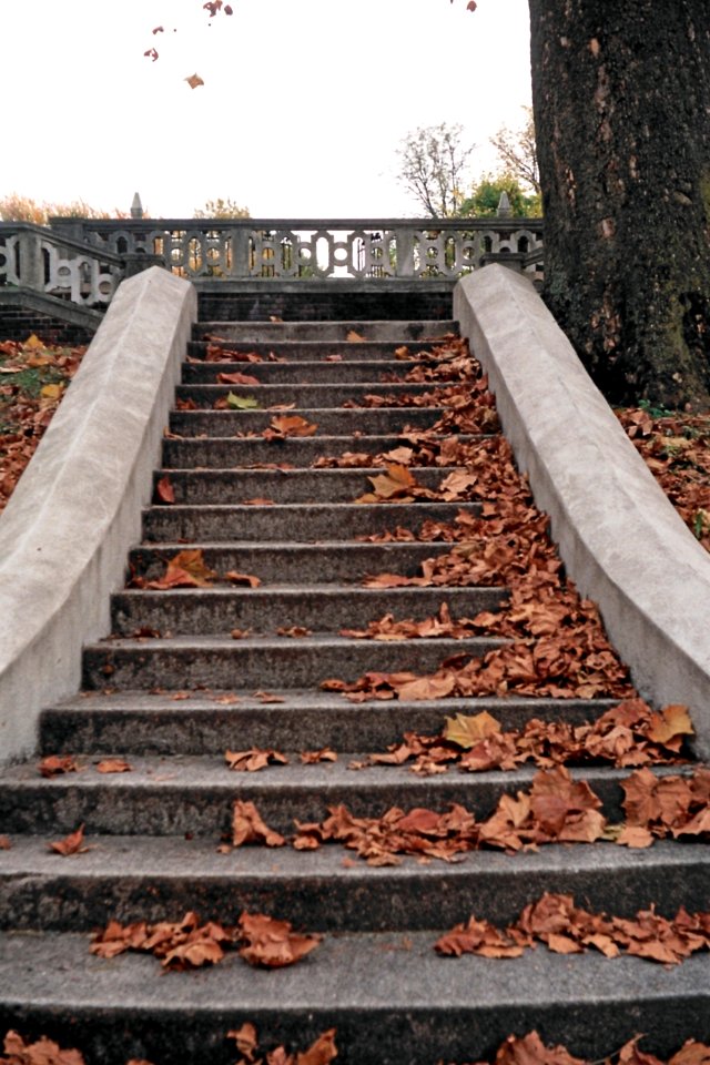 Steps, Mellon Park, 2008-11-02, 01