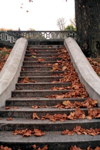 Steps, Mellon Park, 2008-11-02, 01
