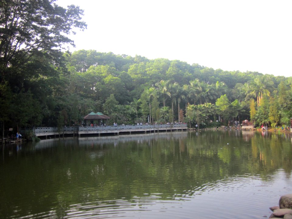 Stepping stones on Water Surface of Mount Yangtai Forest Park5