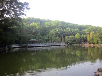 Stepping stones on Water Surface of Mount Yangtai Forest Park5