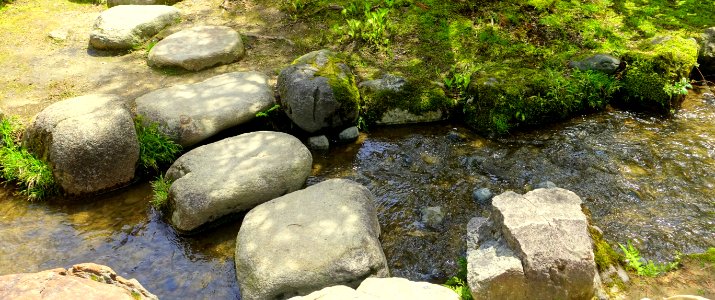 Stepping stones - Kenroku-en - Kanazawa, Japan - DSC09722