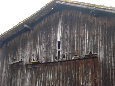 Ste-Foy-la-Grande, grange de bois avec pigeonnier