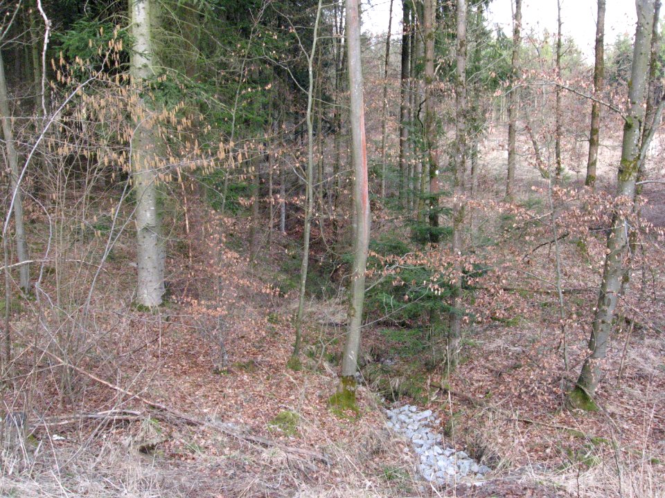 Steinbach (Bühler), linker, offizieller Quellast, bei L 2627