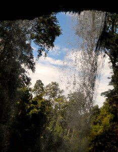 Forest nature waterfall photo