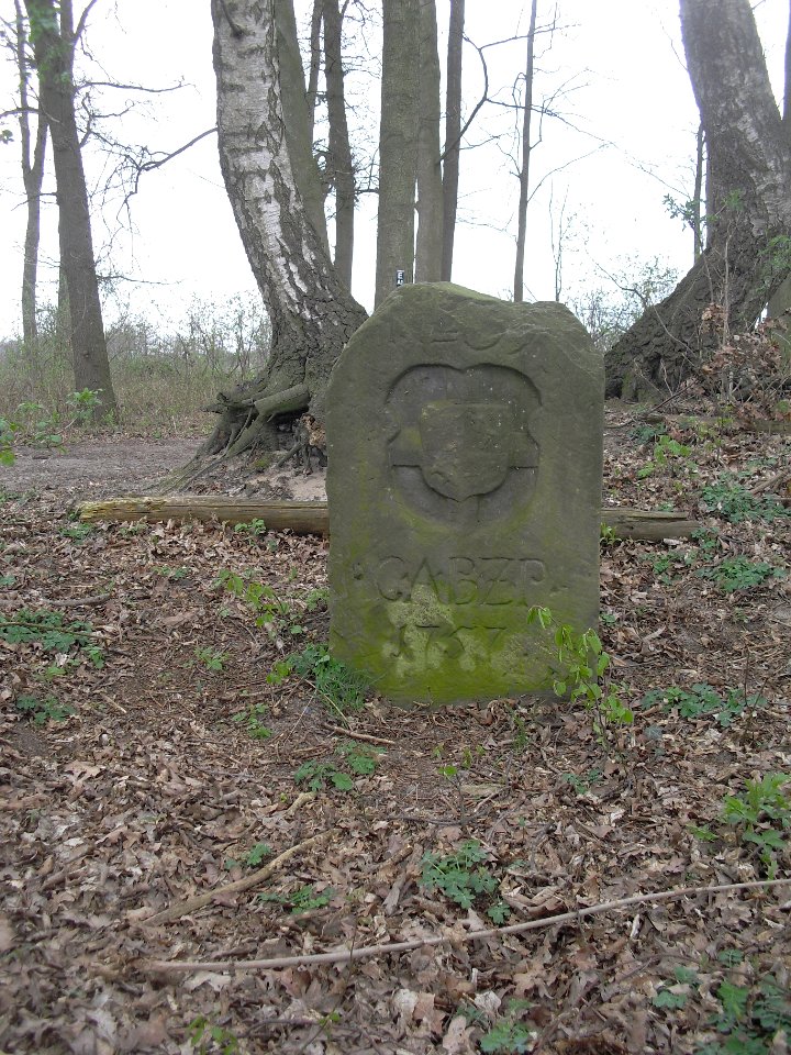 Steinhorst-Grenzstein 41-Paderborner Seite