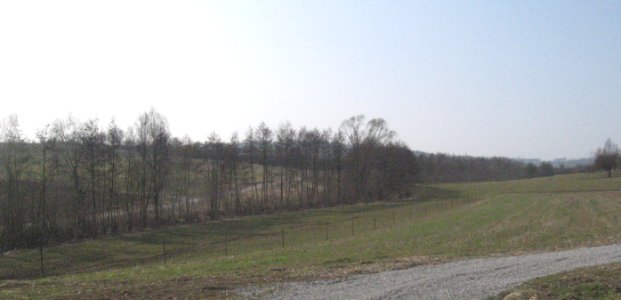 Steinbach als Wiesenbach im Unterkeuper, Blick nach W vom Talhang unterhalb der Vellberger Markgrafenallee