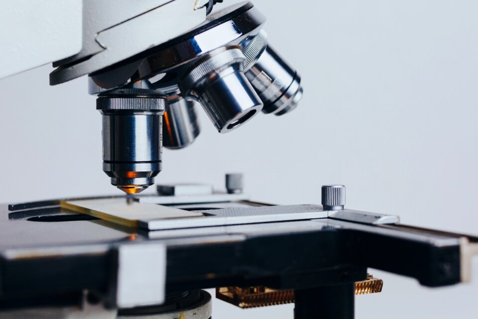 Biology biotechnology chemistry