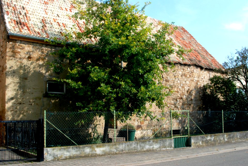 Stein-Bockenheim 19