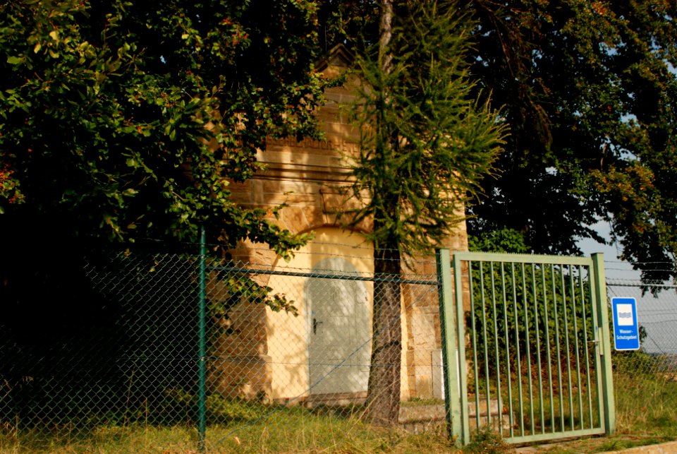 Stein-Bockenheim 11