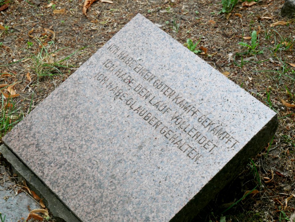 Stein Hans Heinrich Schwerin